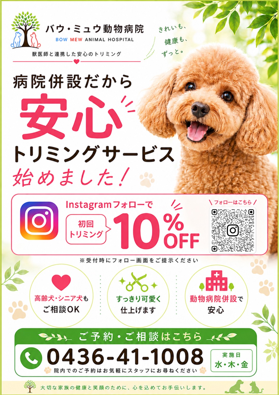 病院併設だから安心のトリミングサービス始めました Instagramフォローで初回トリミング10%OFF